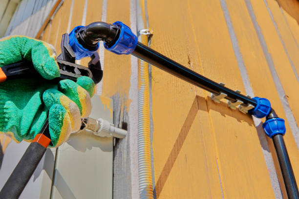 Best Local Plumber Services  in Olive Branch, MS