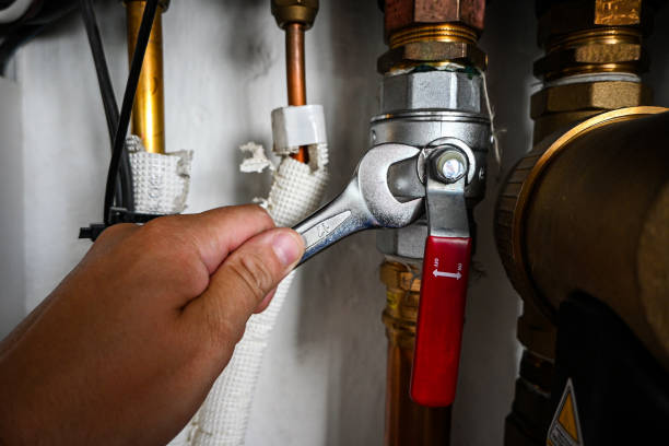 Best Shower Repair Services  in Olive Branch, MS